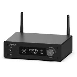 Arylic H50 Stereo Amplifier