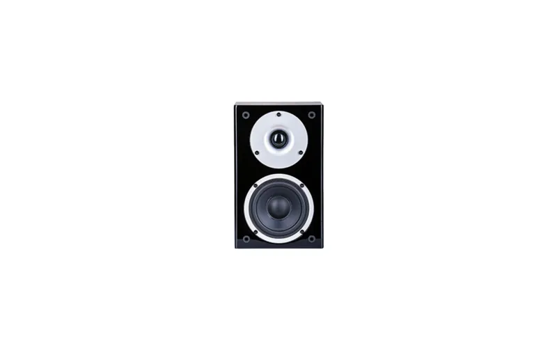 Wilson Raptor Mini Bookshelf Speaker (Pair) - Black
