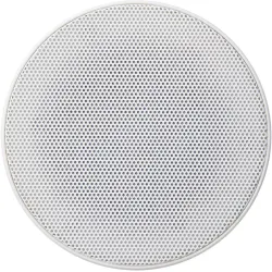 Metro Audio Systems V6CAGR Aluminum Grill for V6CA