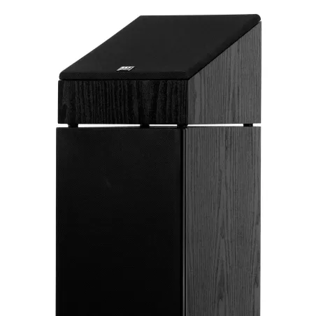 Wilson Raptor X Ηχείο Atmos (Ζεύγος) - Μαύρο