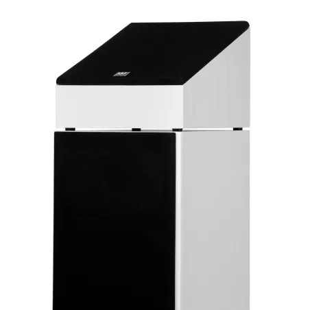 Wilson Raptor X Atmos Loudspeakers (Pair) - White