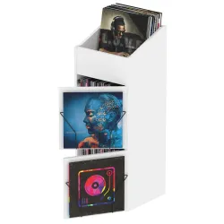 Glorious Record Box Display Door White