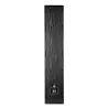 Wilson Raptor 7 Floorstanding Speaker (Pair) - Black