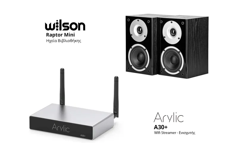 Wilson Raptor Mini + Arylic A30+ Bundle