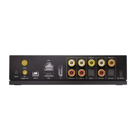 Arylic LP100 HiFi Music Streamer