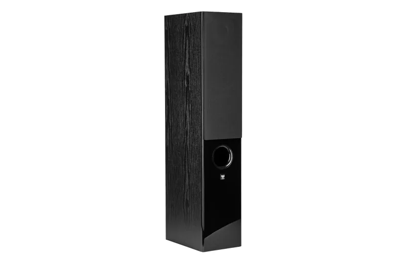 Wilson Raptor 5 Floorstanding speaker (pair) - Black