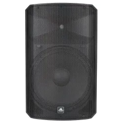 Modern Acoustics ES215 Passive Loudspeaker - Black