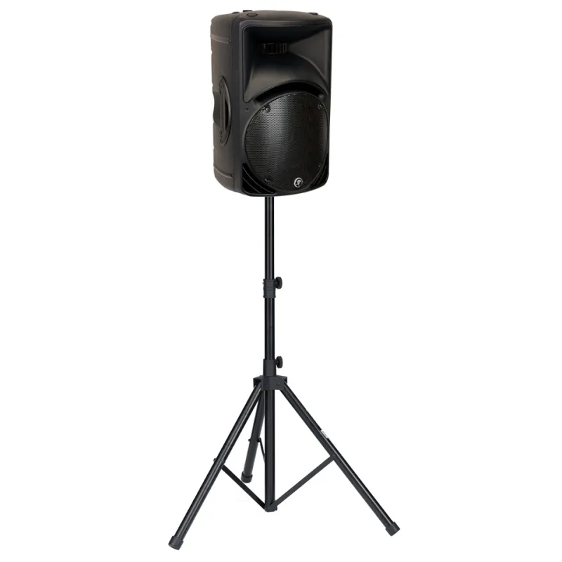 Mackie C300Z Passive Loudspeaker - Black