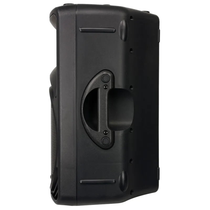 Mackie C300Z Passive Loudspeaker - Black